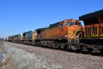 BNSF 4165 Roster shot.